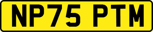 NP75PTM