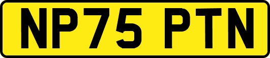 NP75PTN