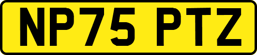 NP75PTZ