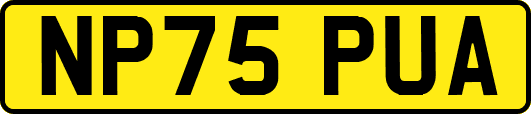 NP75PUA