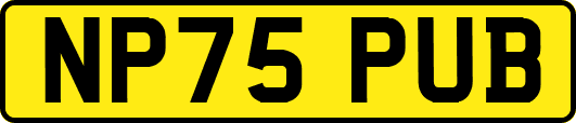 NP75PUB