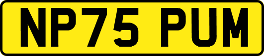 NP75PUM