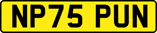 NP75PUN