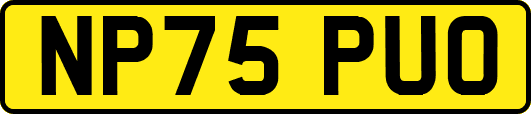 NP75PUO