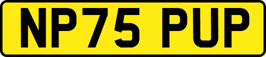 NP75PUP