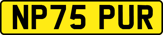 NP75PUR