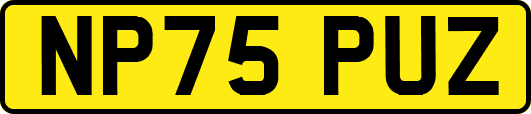 NP75PUZ