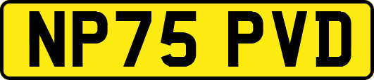 NP75PVD