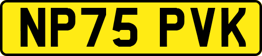 NP75PVK