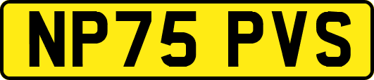 NP75PVS