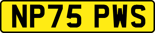 NP75PWS