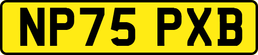 NP75PXB