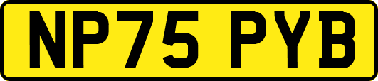 NP75PYB