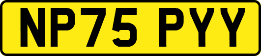 NP75PYY