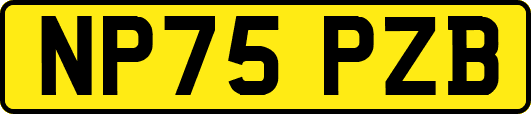 NP75PZB