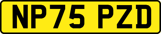 NP75PZD