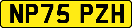 NP75PZH