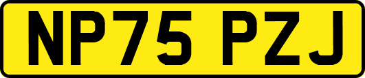 NP75PZJ