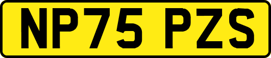 NP75PZS