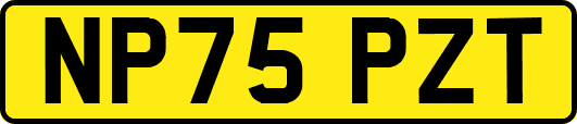 NP75PZT