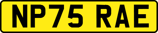 NP75RAE