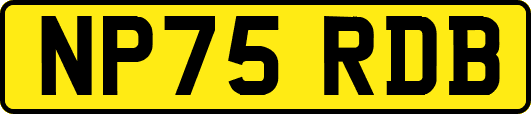 NP75RDB