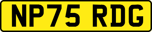 NP75RDG
