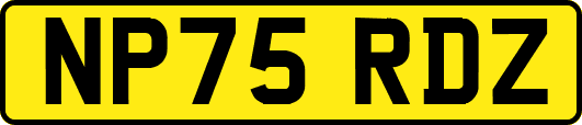 NP75RDZ