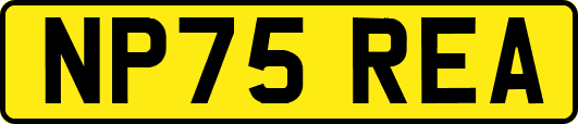 NP75REA