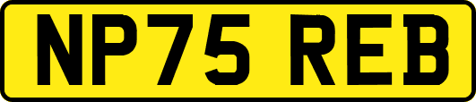 NP75REB
