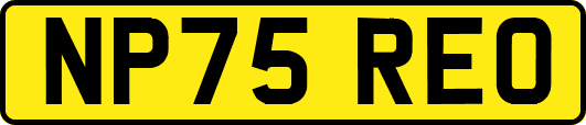 NP75REO