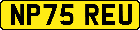 NP75REU