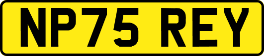 NP75REY