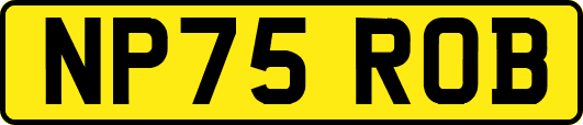 NP75ROB