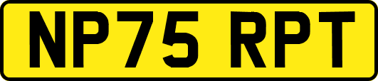 NP75RPT