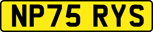 NP75RYS