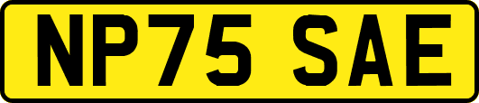 NP75SAE