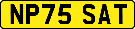 NP75SAT