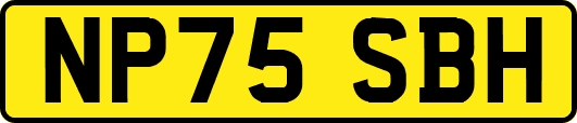 NP75SBH