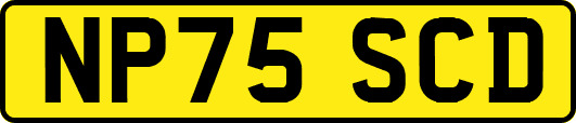 NP75SCD