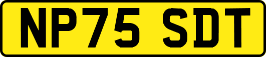 NP75SDT