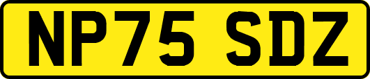 NP75SDZ