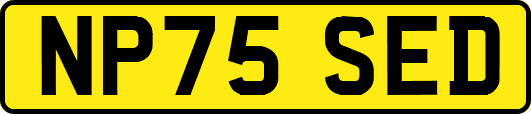 NP75SED