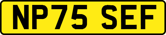 NP75SEF