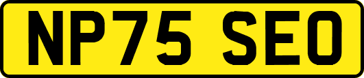 NP75SEO