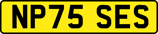 NP75SES