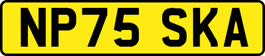 NP75SKA