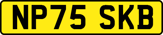 NP75SKB