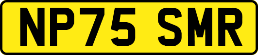 NP75SMR