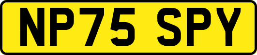 NP75SPY